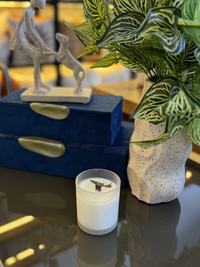 Vela Aromática Vanilla 150g