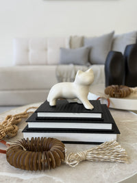 Livro Caixa Decorativo Preto