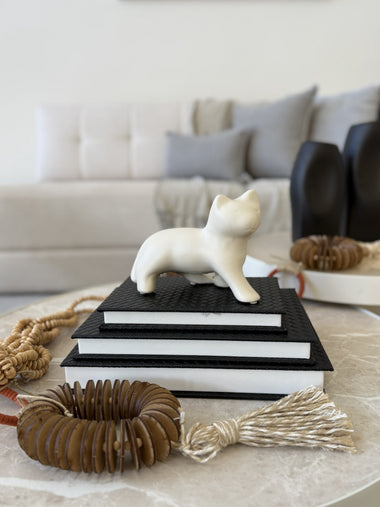 Livro Caixa Decorativo Preto